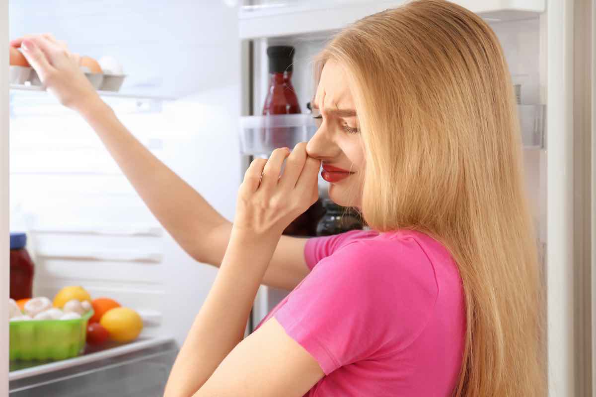 Frigorifero: come eliminare i cattivi odori